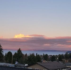 Meet your Posher, Michaela